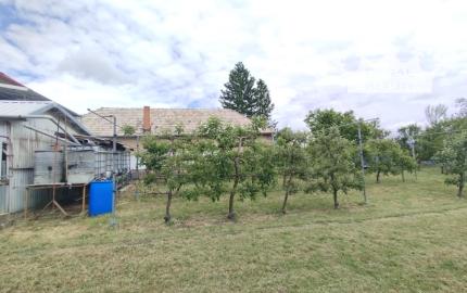 3-izb. Dom, 1189 m2,  Krušovce, okr. Topoľčany