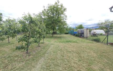 3-izb. Dom, 1189 m2,  Krušovce, okr. Topoľčany