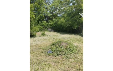 Výhradne: 3-izb. Dom, 679 m2, Nitrianska Blatnica