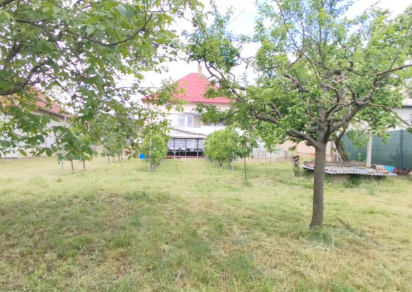 3-izb. Dom, 1189 m2,  Krušovce, okr. Topoľčany