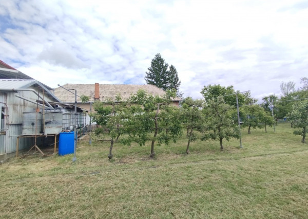 3-izb. Dom, 1189 m2,  Krušovce, okr. Topoľčany