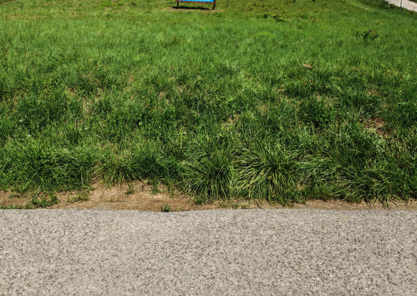 Lukratívny POZEMOK  č. 2 na Rodinný dom,1496 m2 Partizánske