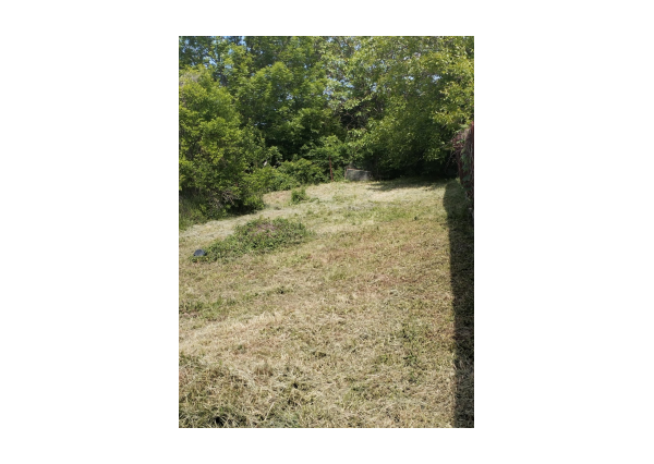 Výhradne: 3-izb. Dom, 679 m2, Nitrianska Blatnica