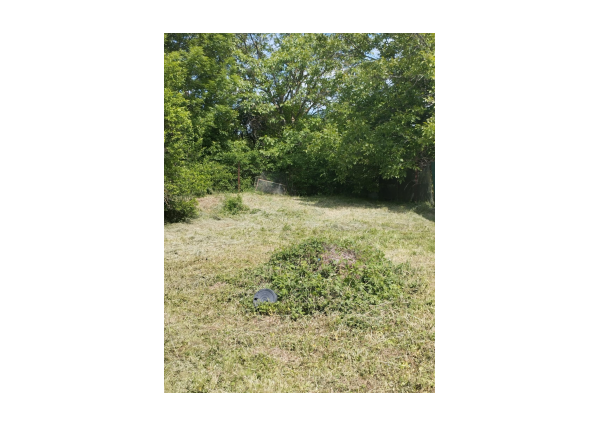 Výhradne: 3-izb. Dom, 679 m2, Nitrianska Blatnica