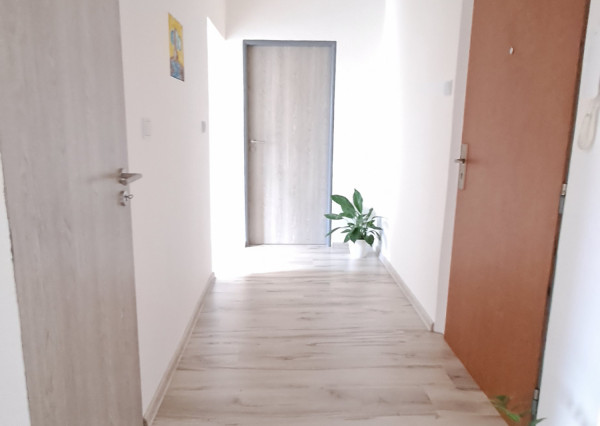 ZNÍŽANÁ CENA  - Krásny slnečný 2izbový byt v širšom centre Prievidze